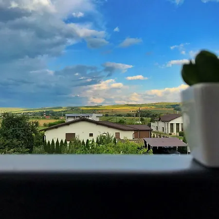 Pensiunea Margareta Guest house